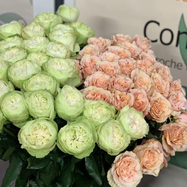 Estel'fleurs Fleuriste carcassonne bouquet