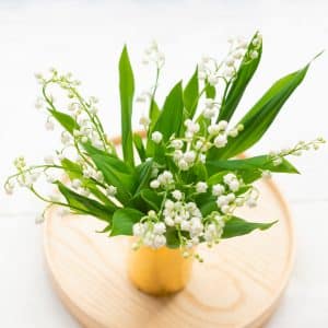 Brins de Muguet