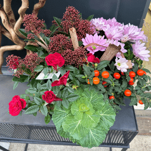 Composition de plantes toussaint fleuriste carcassonne