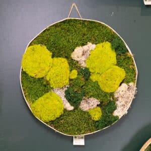 Tableau végétal en mousse éternelle