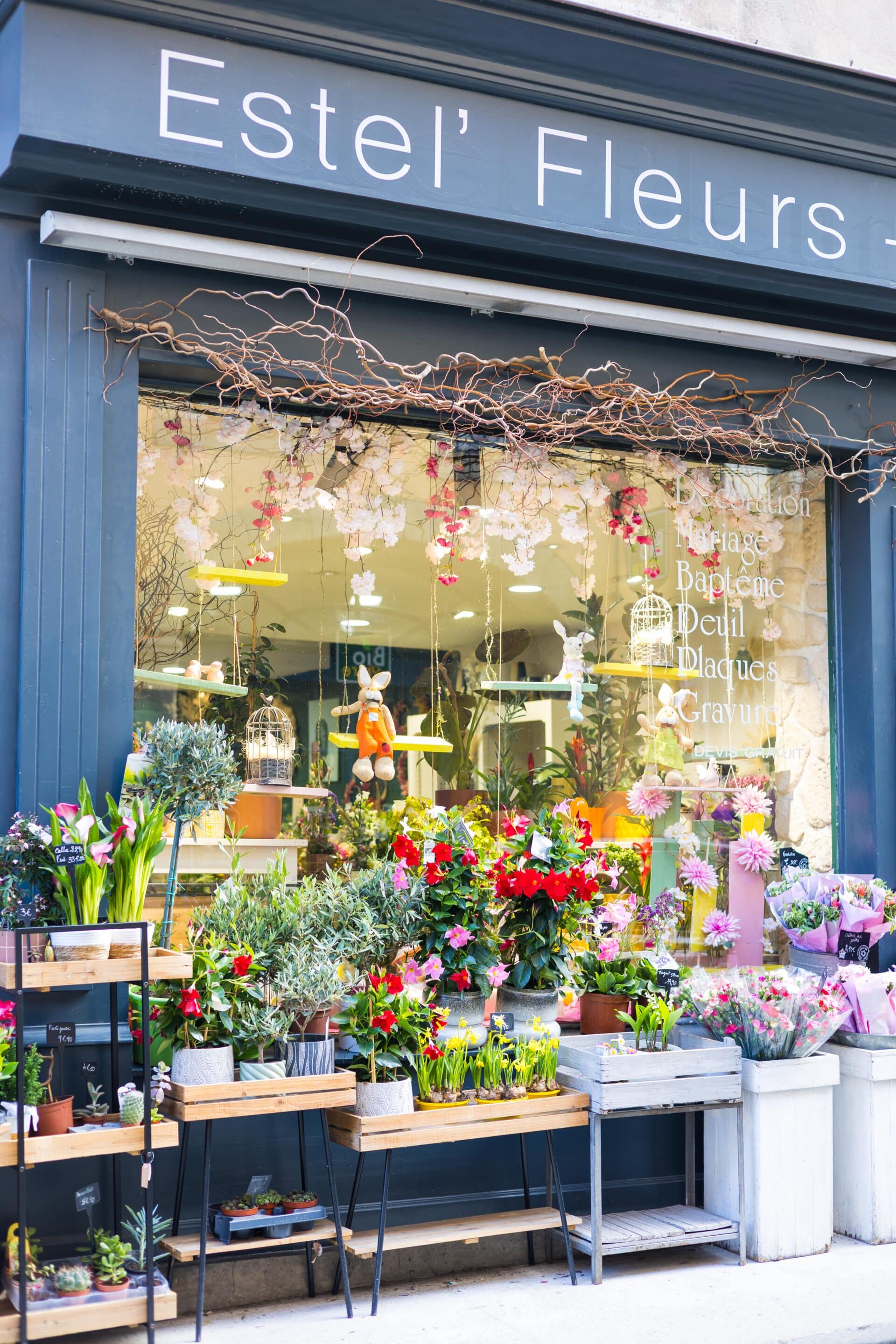 estel'fleurs carcassonne fleuriste
